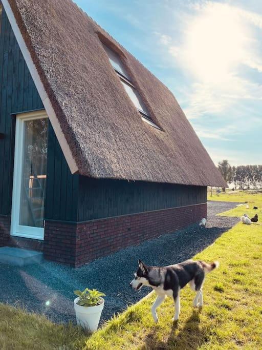 Cozy Appartment On The Farm Loenen aan de Vecht Exterior foto